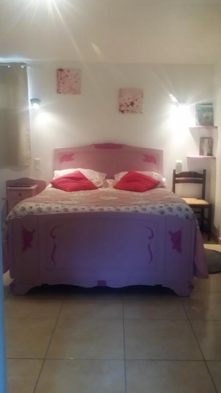 Chambres D'Hotes Anne-Marie Châtillon-sur-Indre Exteriör bild