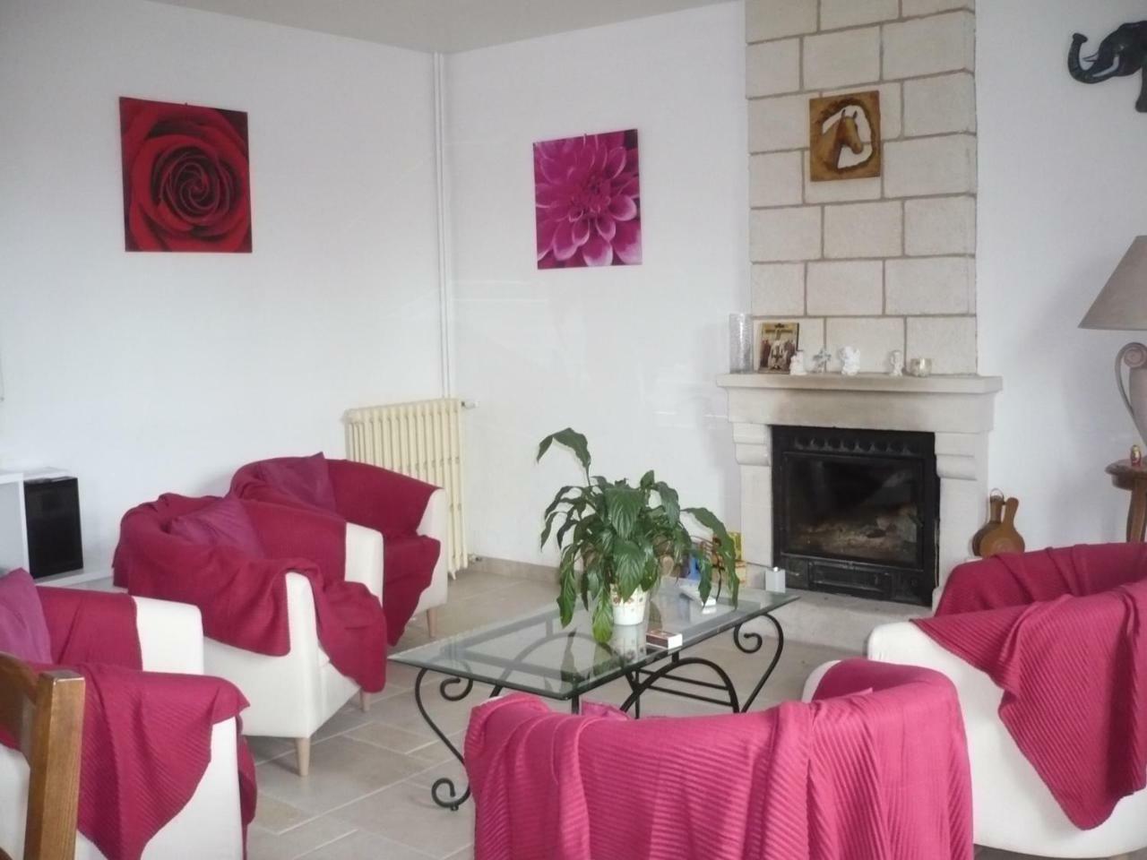 Chambres D'Hotes Anne-Marie Châtillon-sur-Indre Exteriör bild