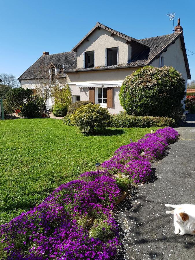 Chambres D'Hotes Anne-Marie Châtillon-sur-Indre Exteriör bild