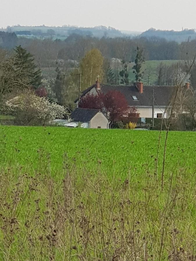 Chambres D'Hotes Anne-Marie Châtillon-sur-Indre Exteriör bild