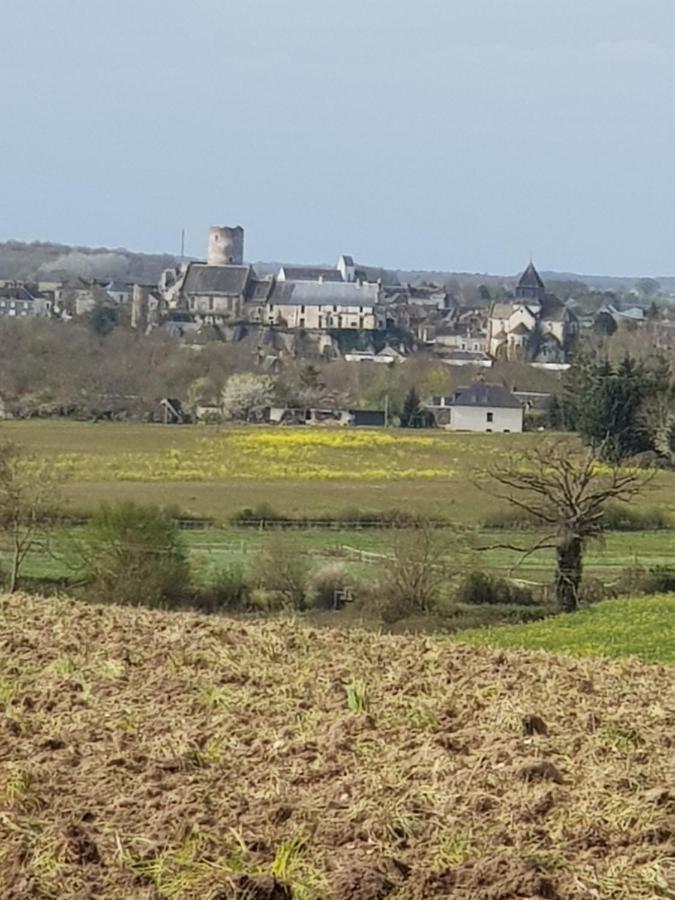 Chambres D'Hotes Anne-Marie Châtillon-sur-Indre Exteriör bild